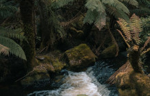 Tassie Tours Tasmania3