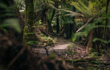 Tassie Tours Tasmania8