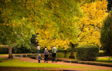Tassie Tours Tasmania1