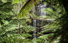 Tassie Tours Tasmania9