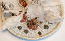 Vancouver Foodie Tours7