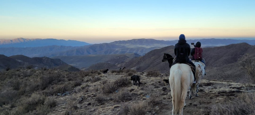Horseback Riding at Sunset in Mendoza