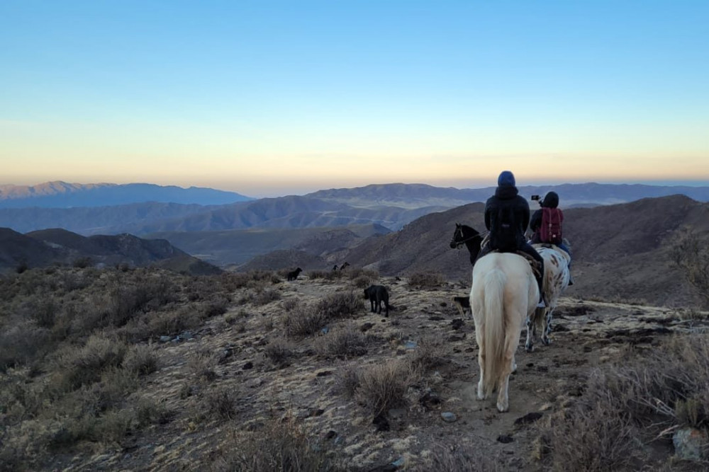 Horseback Riding at Sunset in Mendoza