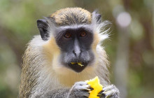 Beautiful Barbados Tours and Excursions Ltd17