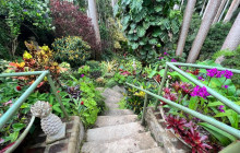 Beautiful Barbados Tours and Excursions Ltd22