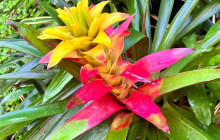 Beautiful Barbados Tours and Excursions Ltd26
