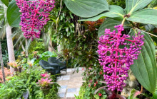 Beautiful Barbados Tours and Excursions Ltd28
