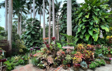 Beautiful Barbados Tours and Excursions Ltd30
