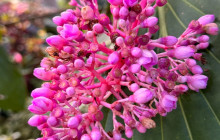Beautiful Barbados Tours and Excursions Ltd31