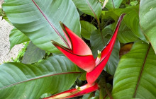 Beautiful Barbados Tours and Excursions Ltd34