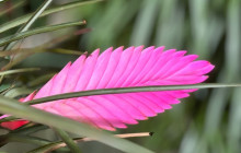 Beautiful Barbados Tours and Excursions Ltd35