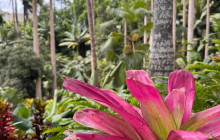 Beautiful Barbados Tours and Excursions Ltd36