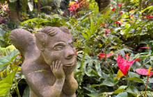 Beautiful Barbados Tours and Excursions Ltd37