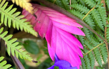 Beautiful Barbados Tours and Excursions Ltd42
