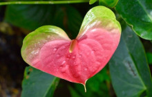 Beautiful Barbados Tours and Excursions Ltd43