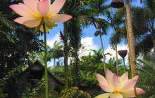 Beautiful Barbados Tours and Excursions Ltd48