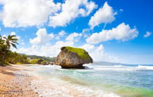 Beautiful Barbados Tours and Excursions Ltd51