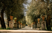 Naples Together14