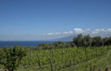 Naples Together6