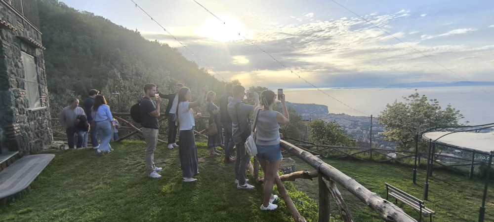 Sorrento Farm Experience: Pizza Class, Cheese Making, Wine And Tour
