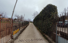 Naples Together19