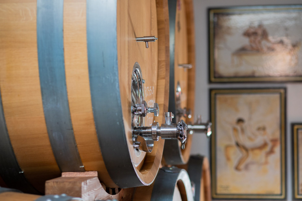 Pompeii Wine Tasting, Vineyards Tour And Lunch Included