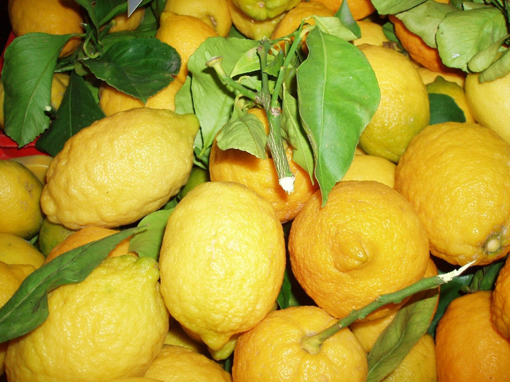 Limoncello Tasting And Seafront Factory Tour