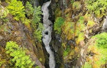 Max Travels, LLC3