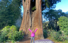 Max Travels, LLC5
