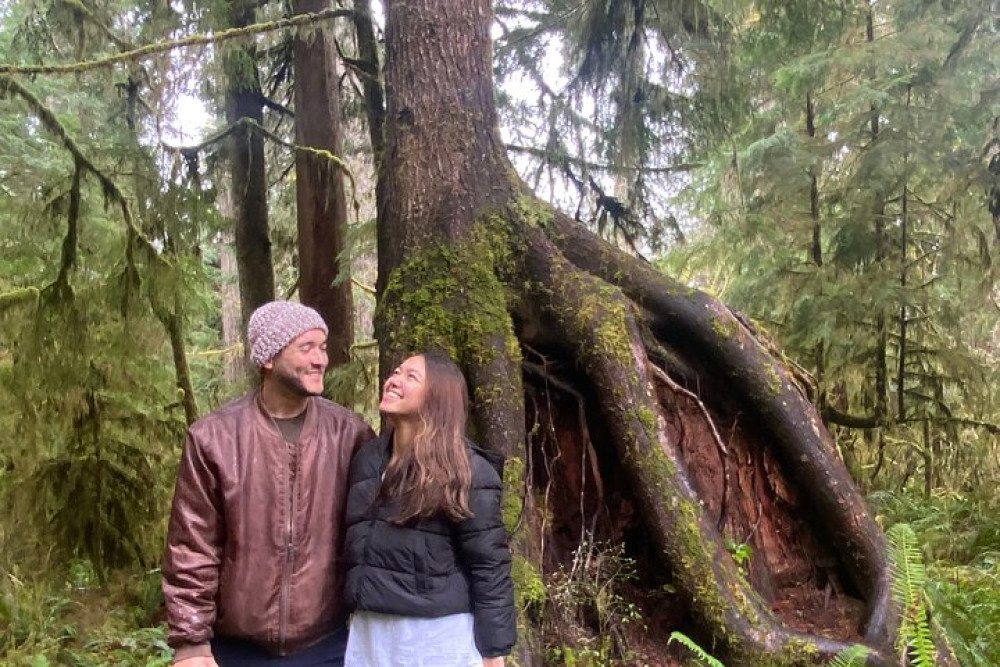 Rainforest, Beach, And Olympic National Park Highlights