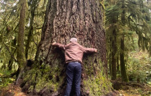 Max Travels, LLC14