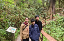 Max Travels, LLC11