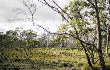 Tassie Tours Tasmania3