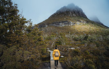 Tassie Tours Tasmania4