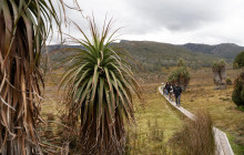 Tassie Tours Tasmania5