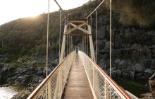 Tassie Tours Tasmania8