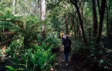 Tassie Tours Tasmania11