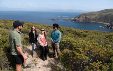 Tassie Tours Tasmania14