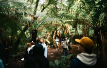 Tassie Tours Tasmania10