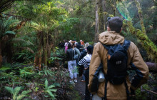 Tassie Tours Tasmania11