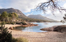 Tassie Tours Tasmania7