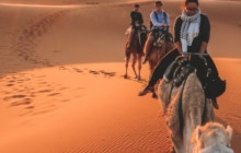 VirSem Fun et Voyage14