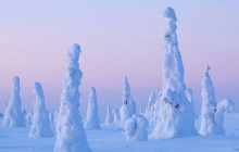 Arctic GM Experiences OY9