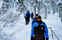 Arctic GM Experiences OY13