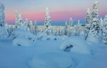 Arctic GM Experiences OY15
