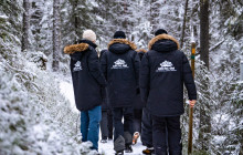 Arctic GM Experiences OY18