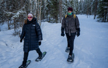 Arctic GM Experiences OY2