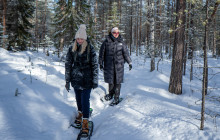 Arctic GM Experiences OY3