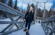 Arctic GM Experiences OY15