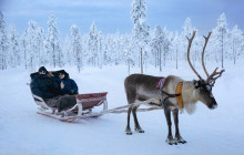 Arctic GM Experiences OY2